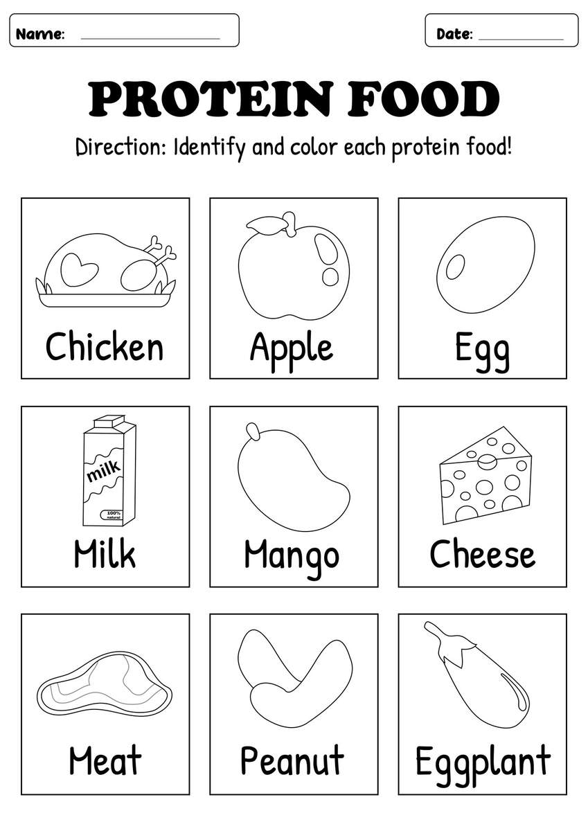 13 Protein Group Worksheets Free PDF At Worksheeto