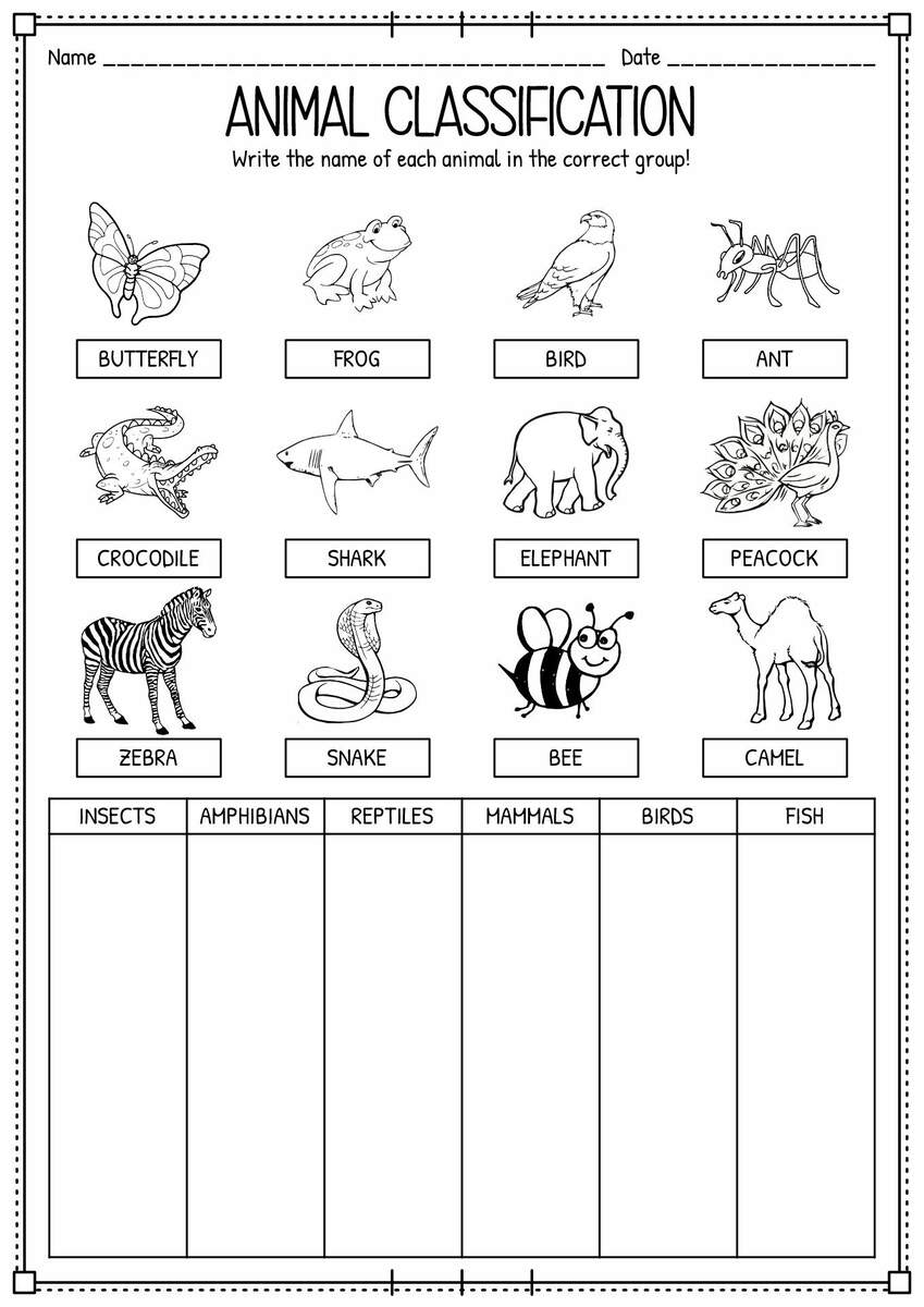 Printable Classification Of Animals Worksheet For Grade 1 2 3 Made By Teachers