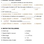 8th Science Online Activity For Grade 8 Worksheets Library