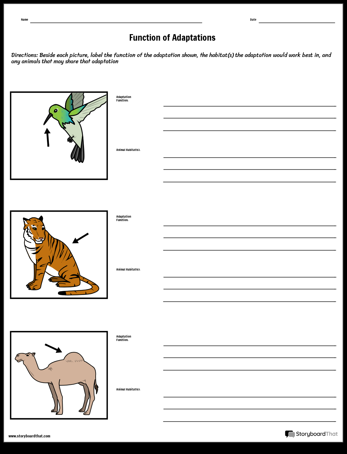 Storyboard That Free Animal Adaptations Worksheets