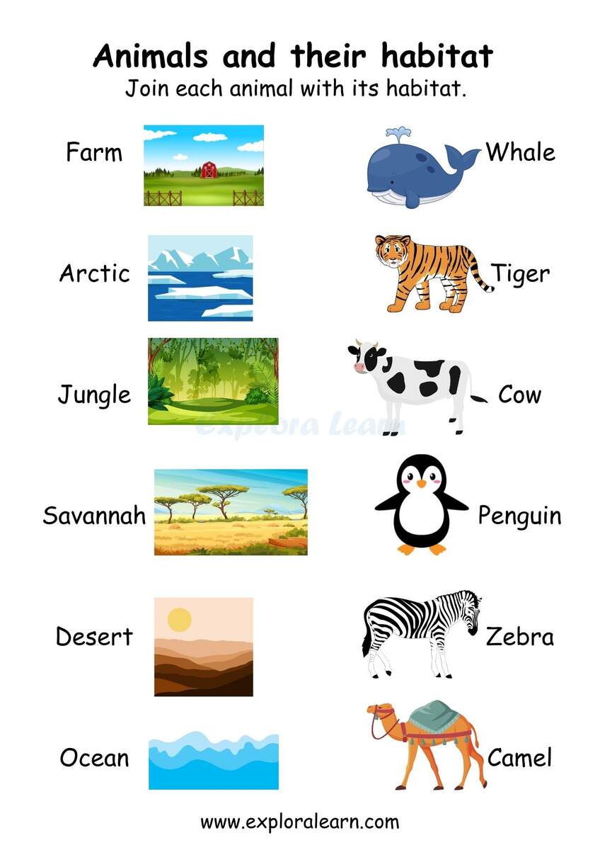 Animal And Homes Worksheets For Preschool And Kindergarten 2 To 6 Years Kids Animal And Homes Worksheets For Preschool And Kindergarten 2 To 6 Years Kids