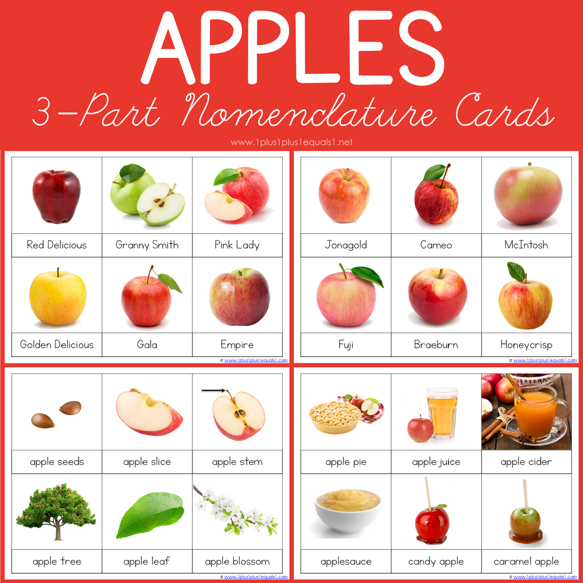 Apple 3 Part Printables And Boom Cards 1 1 1 1 Apple 3 Part Printables And Boom Cards 1 1 1 1