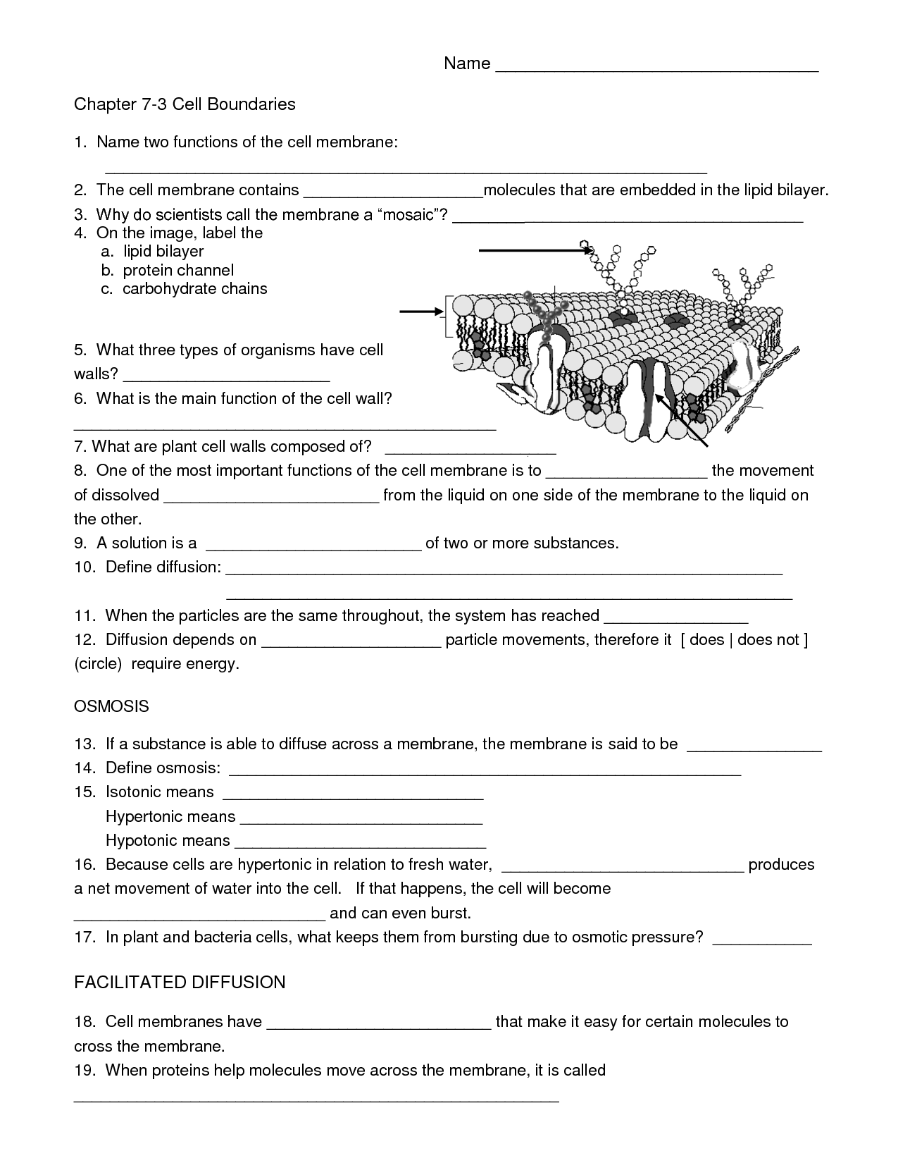 Biology Cell Worksheets Worksheets Library Genetics Worksheets And Printables