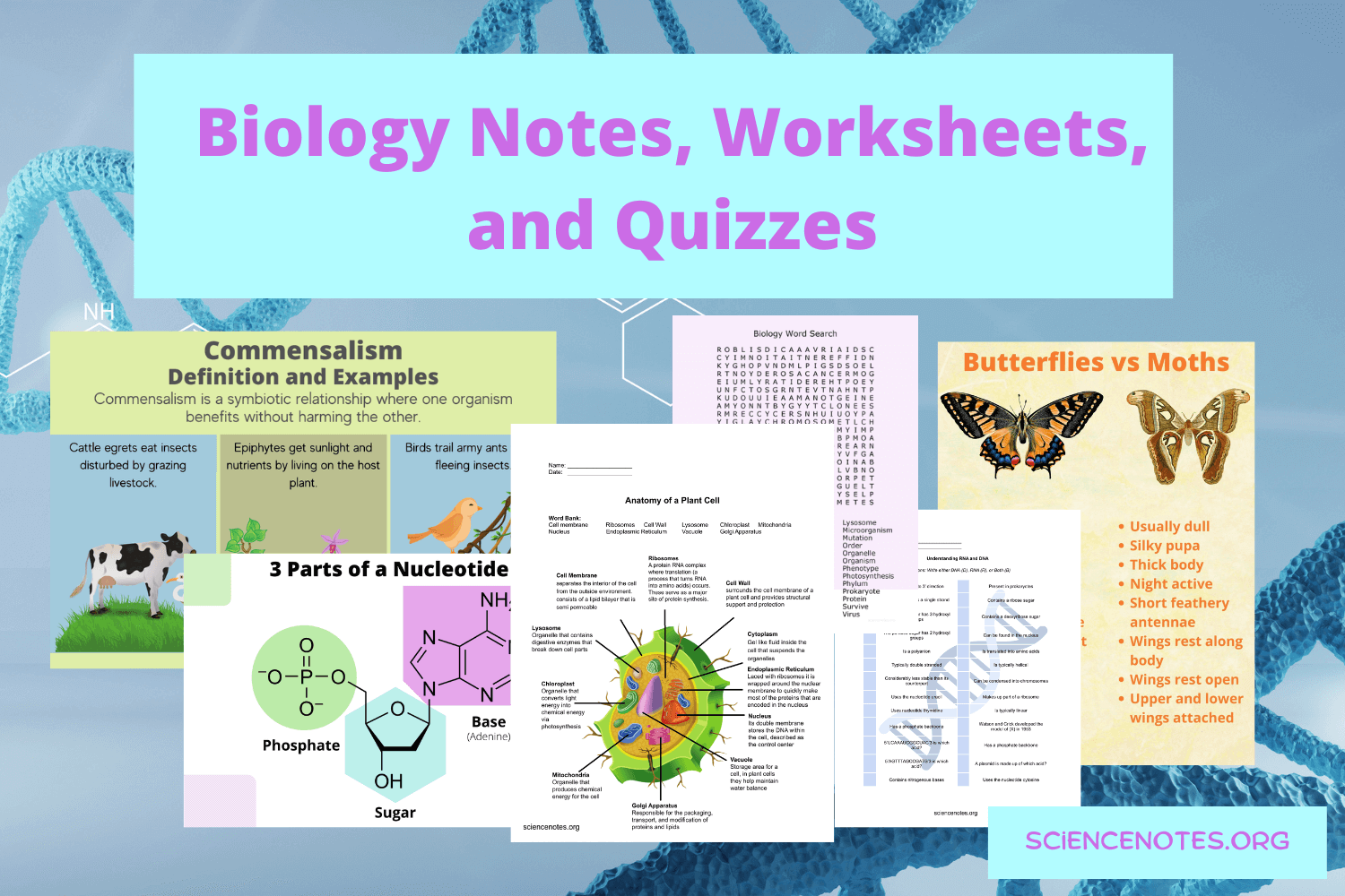 Biology Worksheets Notes And Quizzes PDF And PNG Biology Worksheets Notes And Quizzes PDF And PNG