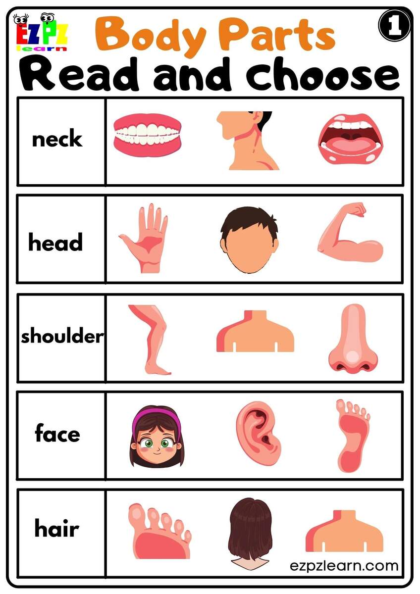 Body Parts Read And Choose Worksheets For Kids And ESL PDF Download Set 1 Ezpzlearn Body Part Worksheet Boy And Girl A To Z Teacher Stuff