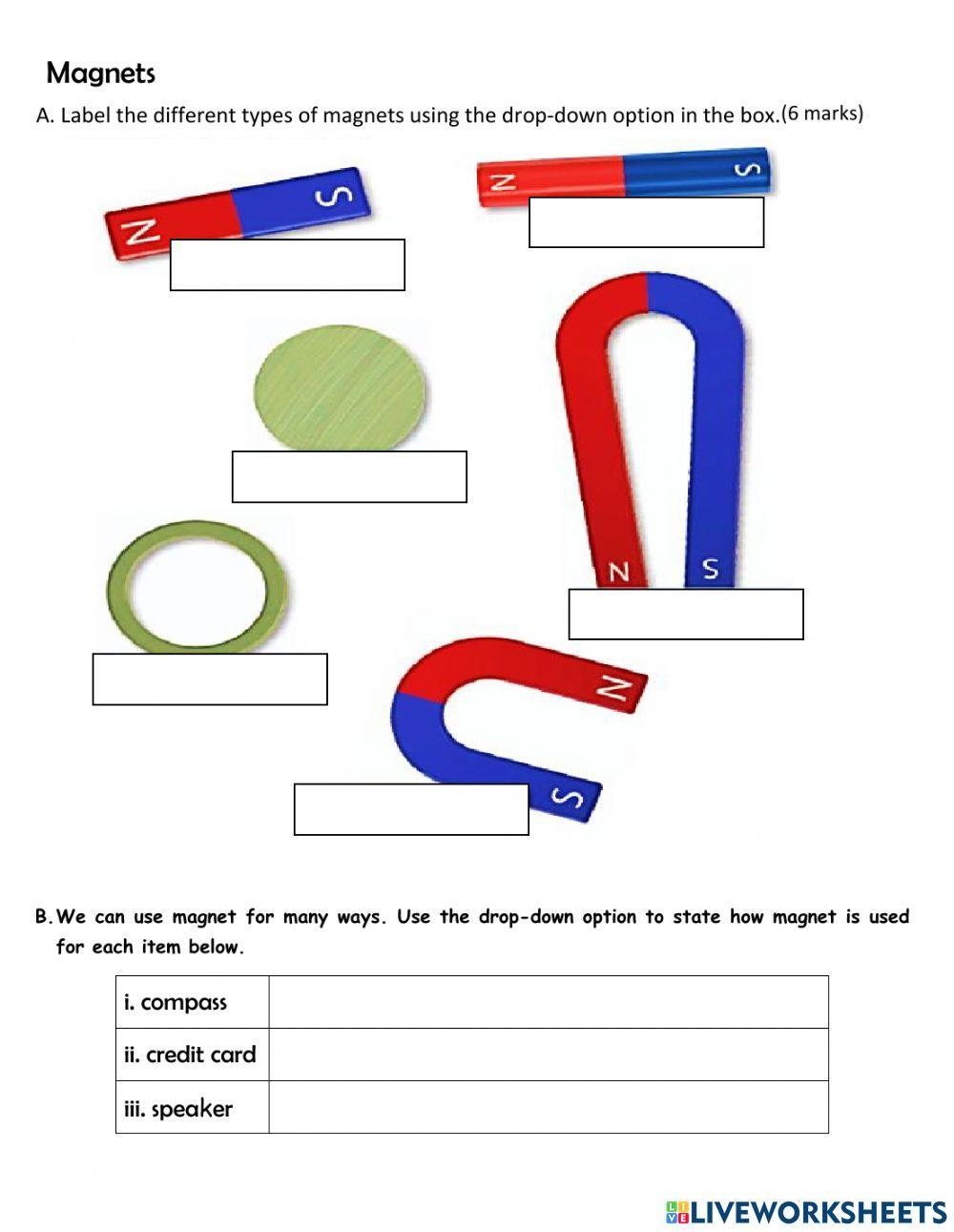 Buy Types Of Magnets Worksheet New Arrivals Magnet Interactive Worksheet For Grade 5 Live Worksheets