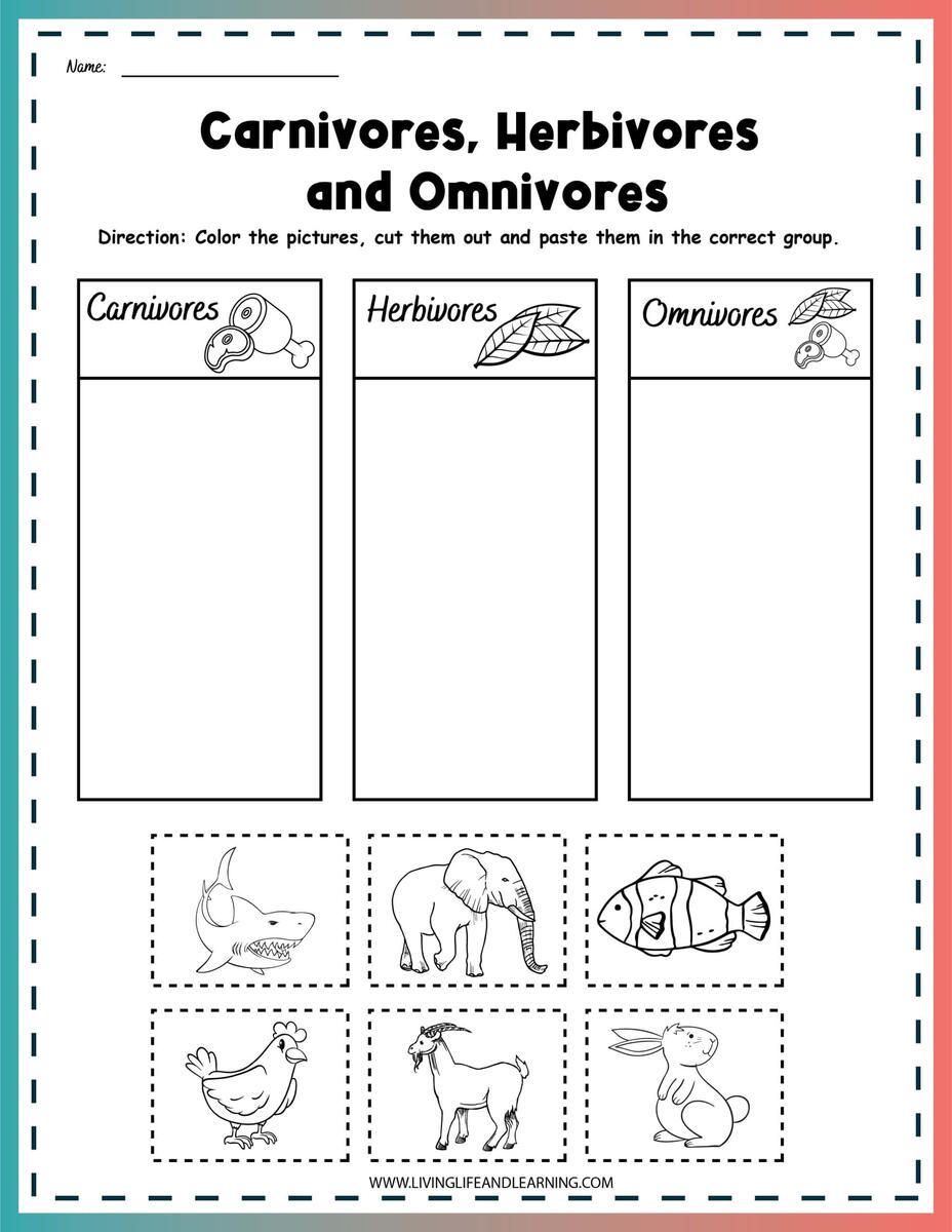 Carnivore Herbivore Omnivore Worksheets Story