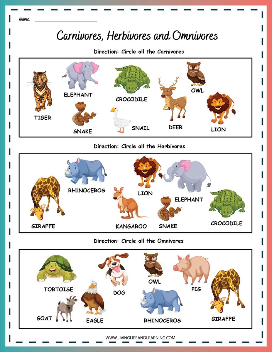 Carnivore Herbivore Omnivore Worksheets Story