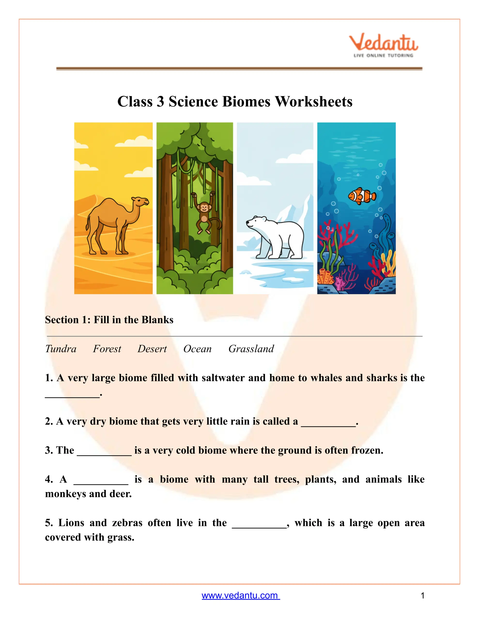 Class 3 Science Biomes Worksheet Free Printable PDF Class 3 Science Biomes Worksheet Free Printable PDF