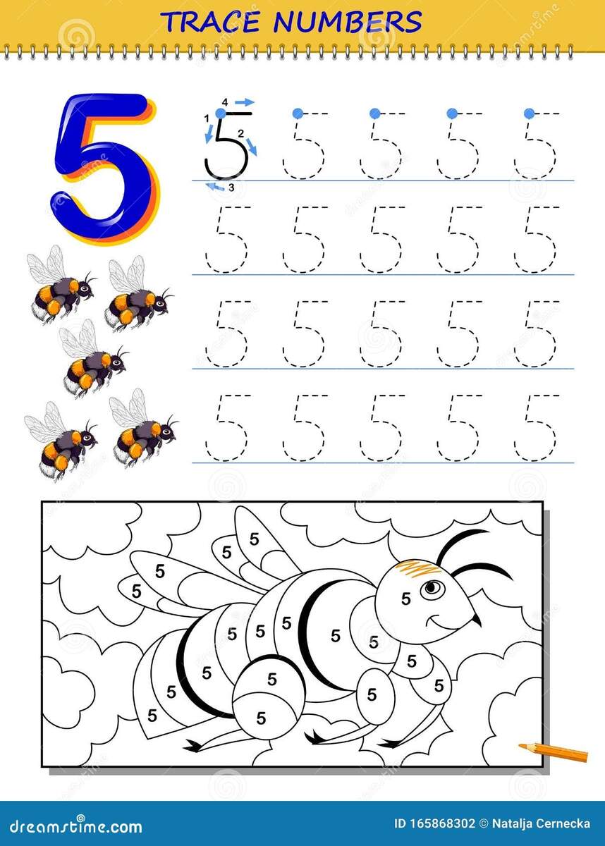 Educational Page For Kids With Number 5 Printable Worksheet For Children Textbook Stock Vector Illustration Of Educational Logic 165868302