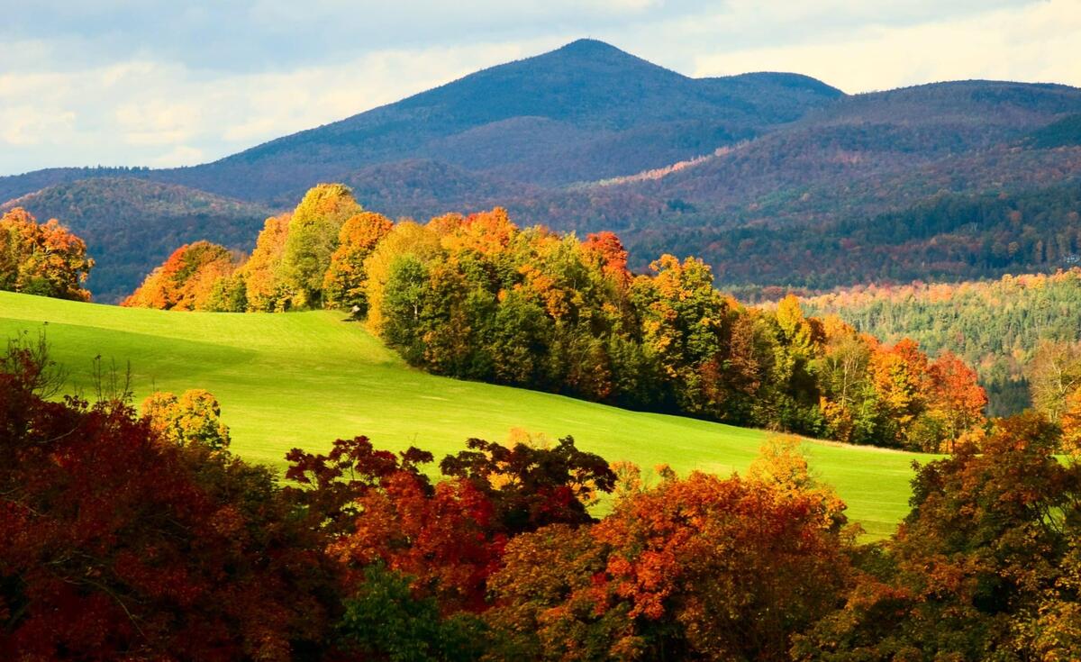 Environmental Law Center ELC Vermont Law And Graduate School