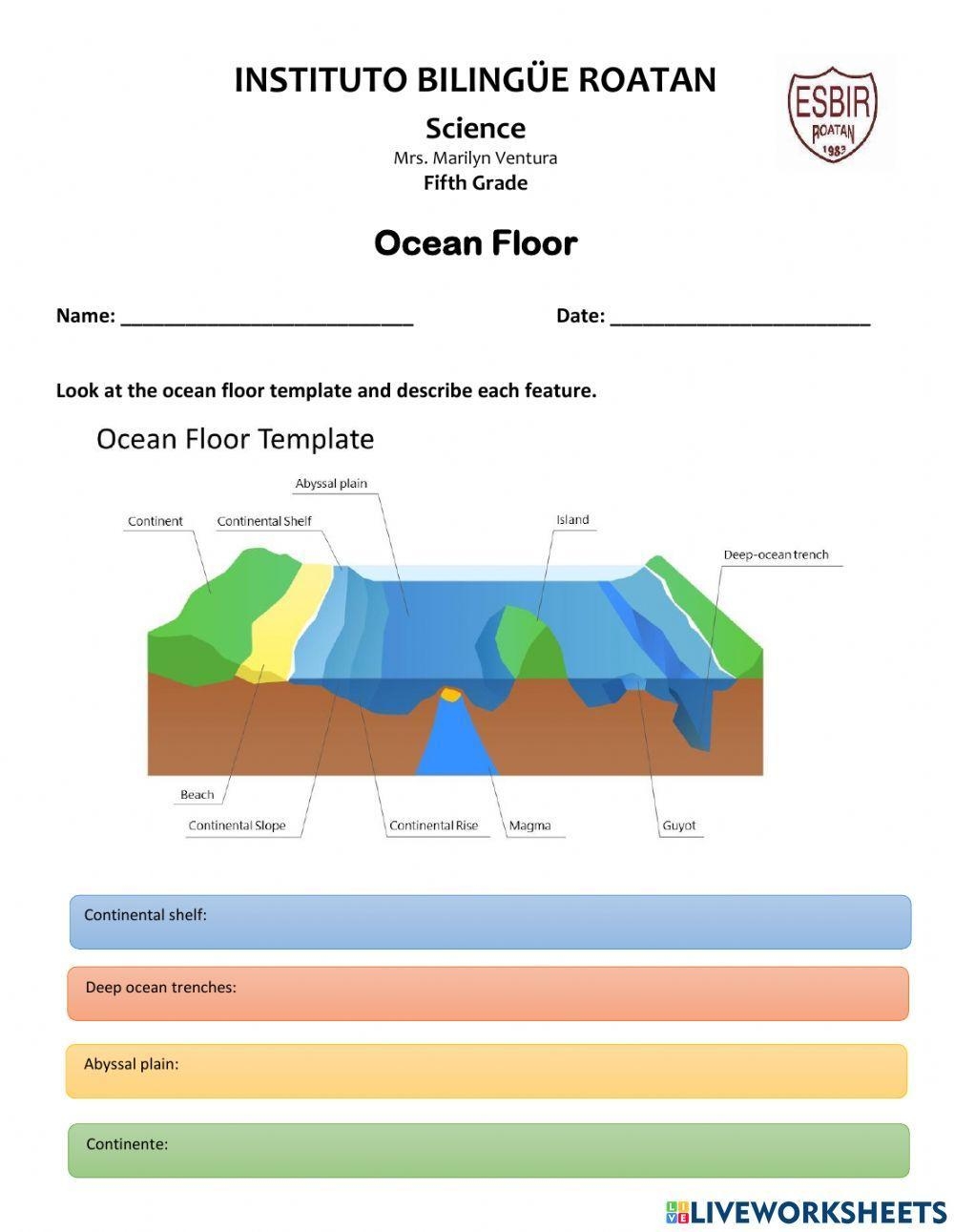 Explore Ocean Floor Features Worksheet Engaging Activities For Learning Explore Ocean Floor Features Worksheet Engaging Activities For Learning