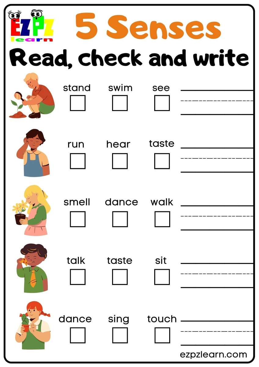 Five Senses Read Check And Write Worksheet For Kindergarten And Worksheets Library