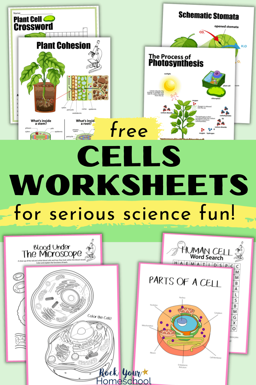 Free Cells Worksheets For Super Fun Science Activities For Kids Free Cells Worksheets For Super Fun Science Activities For Kids