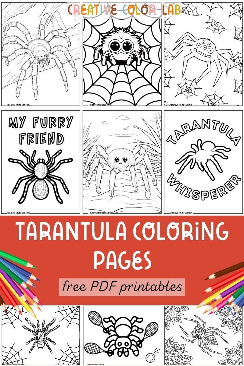 Free Printable Tarantula Coloring Pages