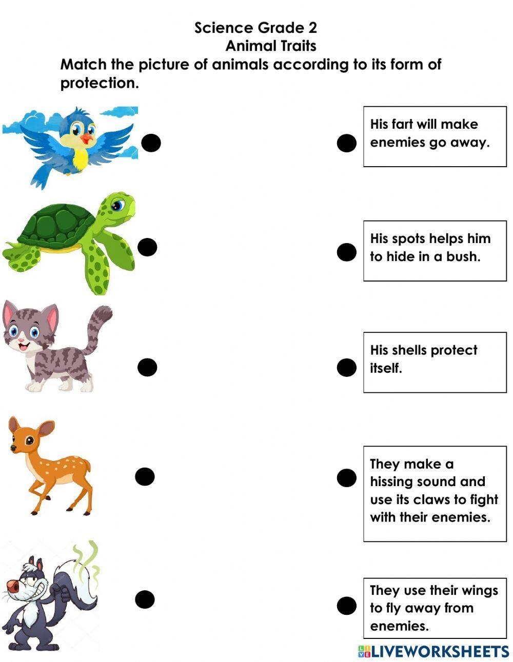 Grade 2 Animal Traits Activity Worksheet Worksheets Library