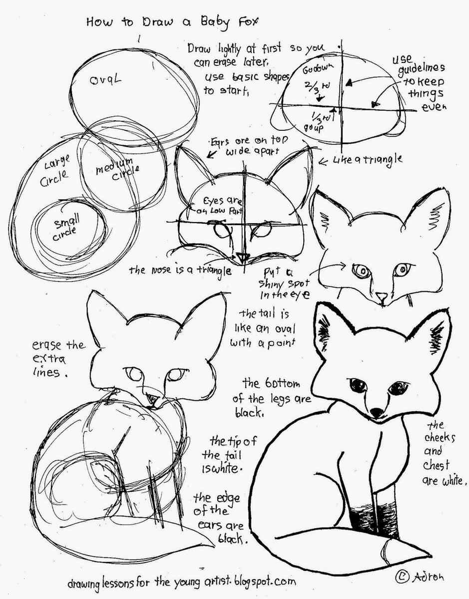 How To Draw Worksheets For The Young Artist How To Draw A Baby Fox Worksheet Free Printable