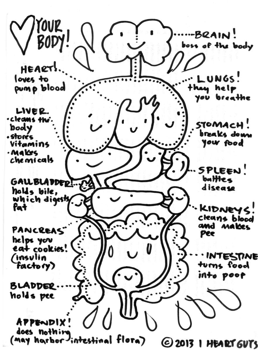 Human Anatomy Coloring Pages Anatomy Physiology Coloring Book Scientific Publishing