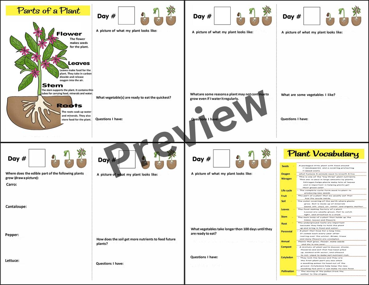Life Cycle Of A Plant Project Worksheets Seed Growing Observation Journal Made By Teachers