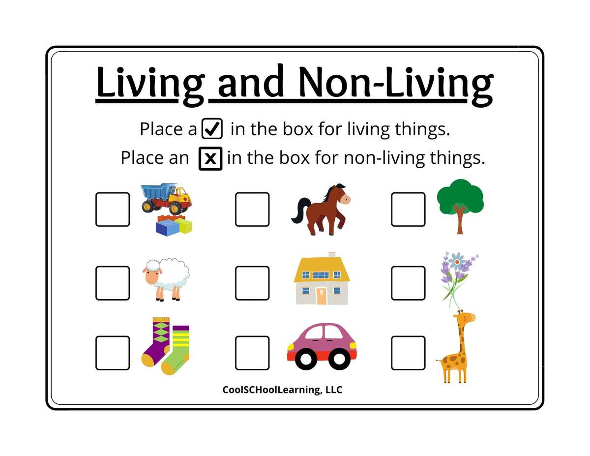 Living And Non Living Printable Preschool Activities Kindergarten Readiness PDF Digital Download Etsy Hong Kong Living And Non Living Things Worksheets Characteristics Of Living Things MegaWorkbook