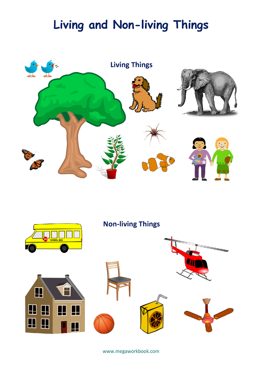 Living And Non Living Things Worksheets Characteristics Of Living Things MegaWorkbook Living And Non Living Things Worksheets Characteristics Of Living Things MegaWorkbook