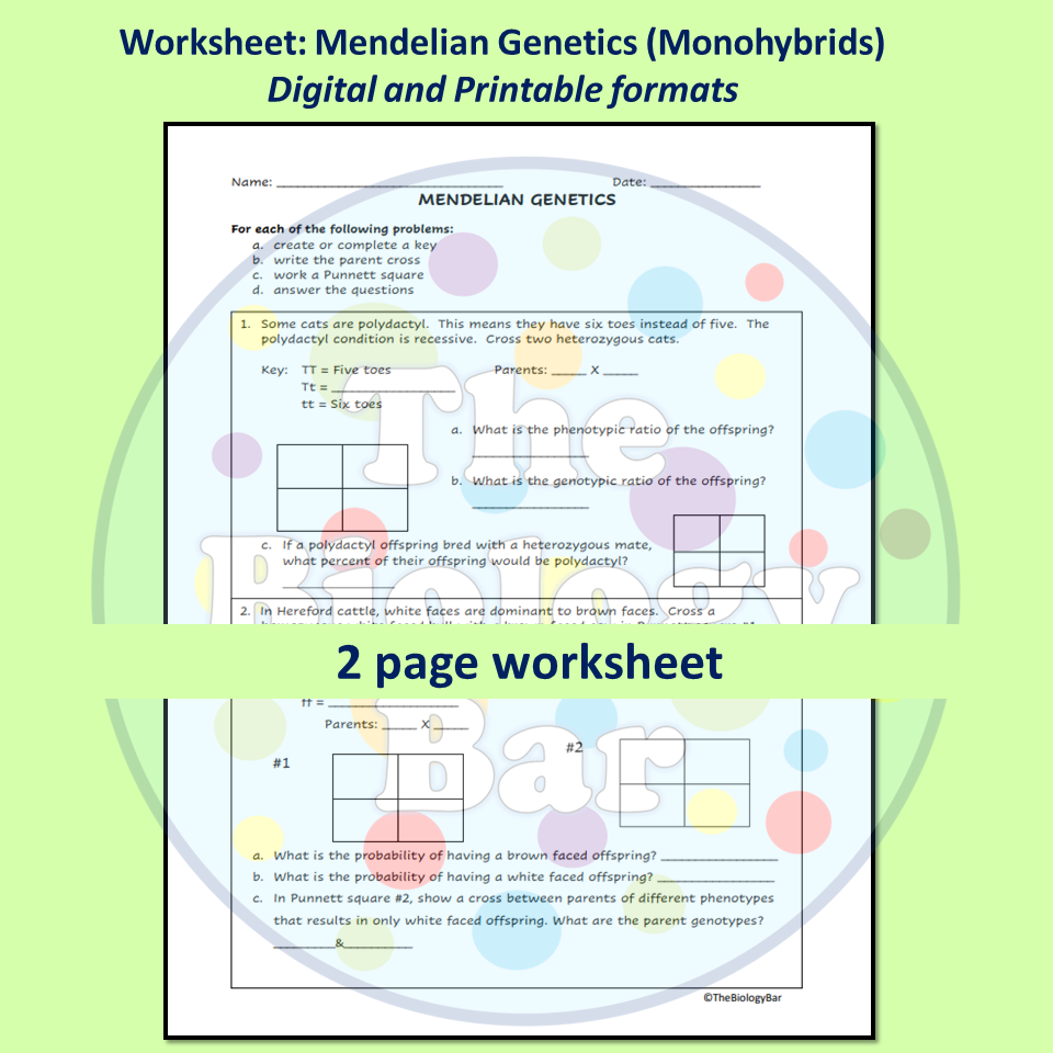 Mendelian Genetics Worksheets Made By Teachers Mendelian Genetics Worksheets Made By Teachers