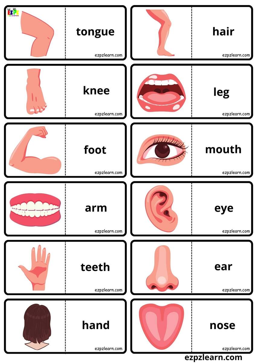My Body Vocabulary Dominoes Matching Game For Kids Free PDF Download Ezpzlearn My Body Vocabulary Dominoes Matching Game For Kids Free PDF Download Ezpzlearn