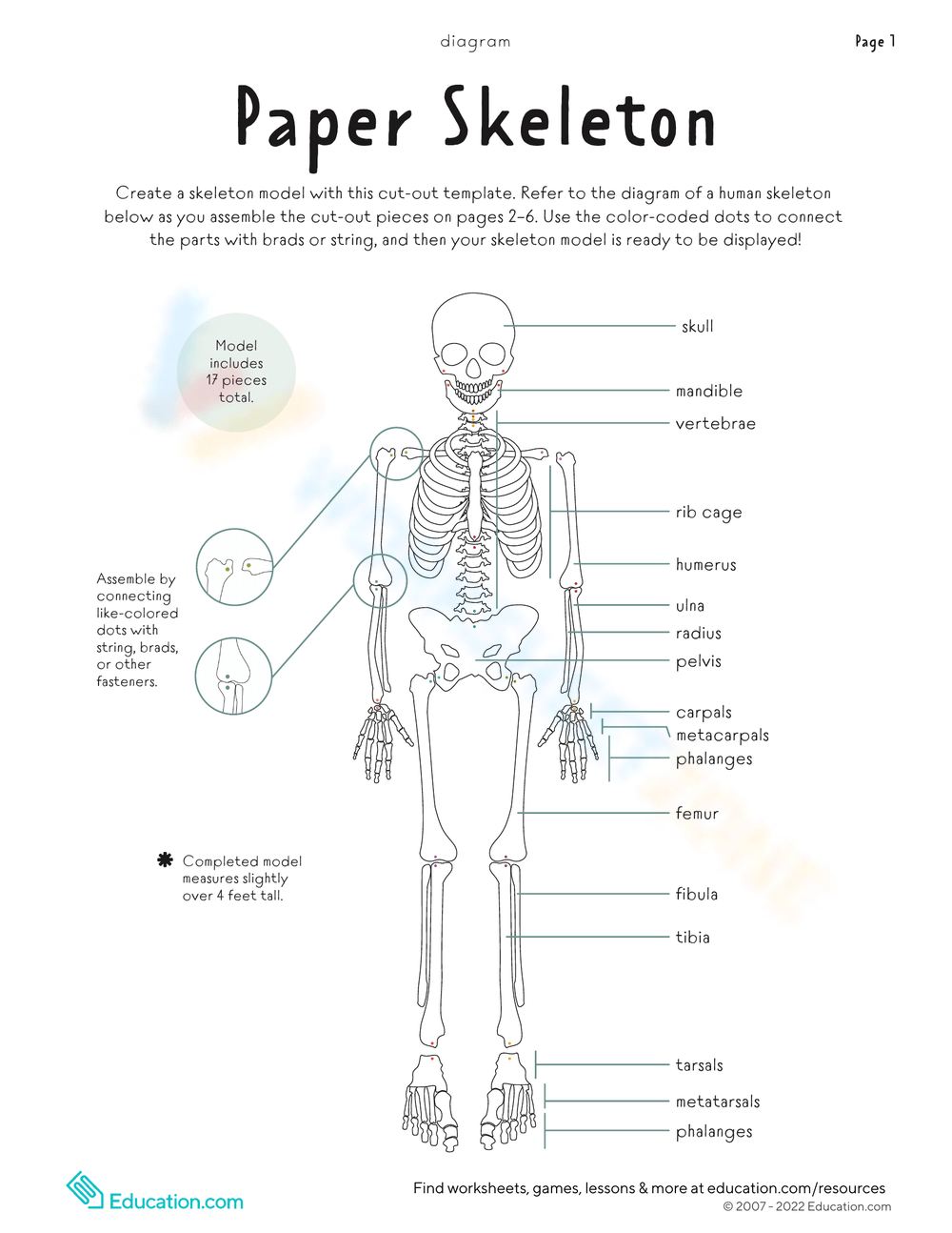 Printable 4th Grade Bones Worksheets Printable 4th Grade Bones Worksheets