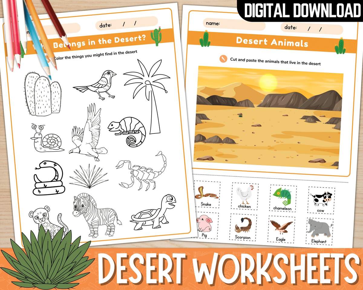 Printable Desert Worksheets For Kids Desert Animals Activities Desert Flashcards Desert Plants Desert Coloring Activity PDF Etsy Printable Desert Worksheets For Kids Desert Animals Activities Desert Flashcards Desert Plants Desert Coloring Activity PDF Etsy