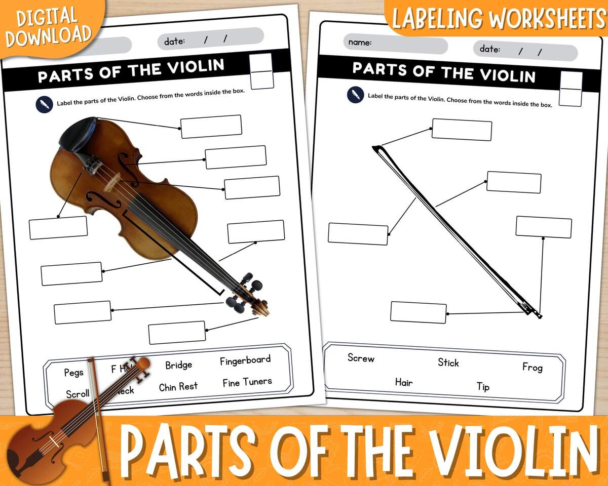 Printable Parts Of The Violin Labeling Worksheets With Answer Keys Violin Diagram Label The Violin Parts Of The Instrument PDF Etsy Hong Kong Printable Parts Of The Violin Labeling Worksheets With Answer Keys Violin Diagram Label The Violin Parts Of The Instrument PDF Etsy Hong Kong
