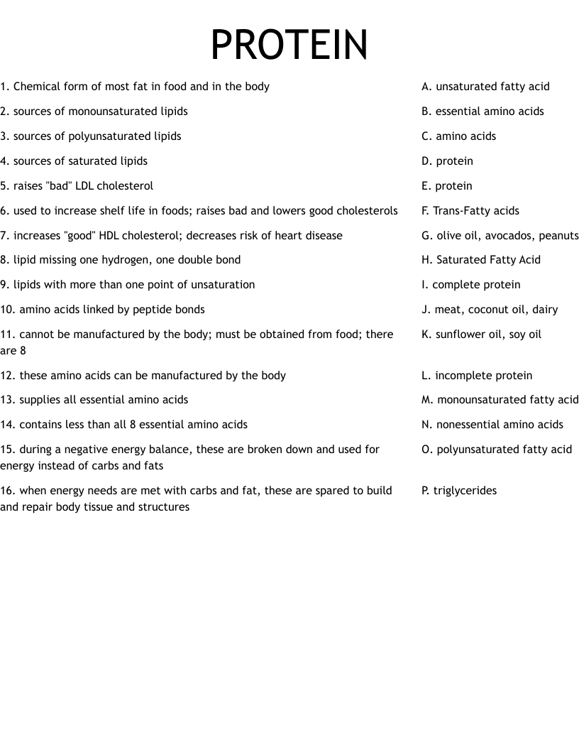 PROTEIN Worksheet WordMint PROTEIN Worksheet WordMint