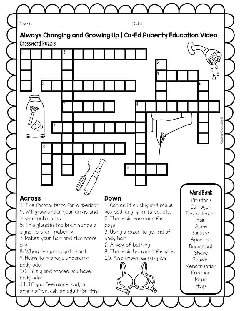 Puberty Introductory Lesson Co Ed Made By Teachers Puberty Introductory Lesson Co Ed Made By Teachers