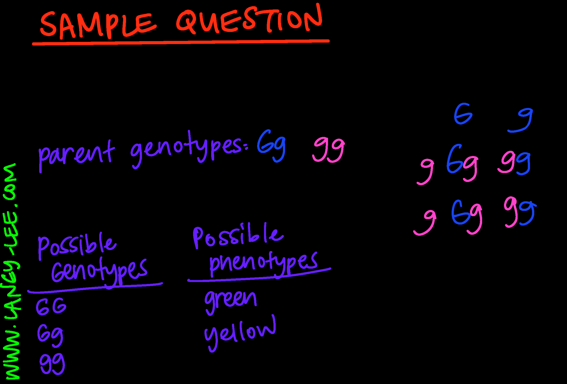 Punnett Square Practice Laney Lee Punnett Square Practice Laney Lee