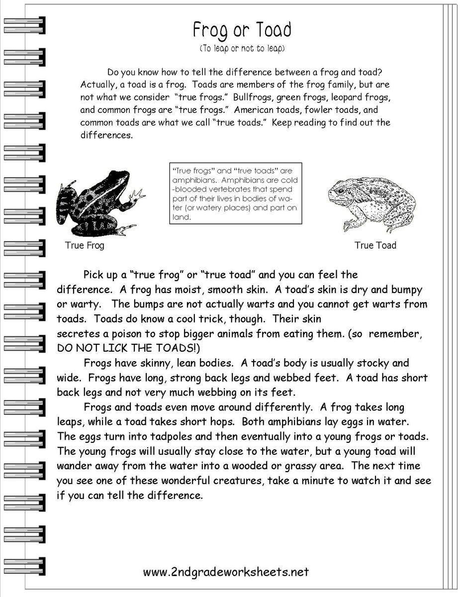 Reading Informational Text Worksheets Text Features Worksheet Worksheets Library