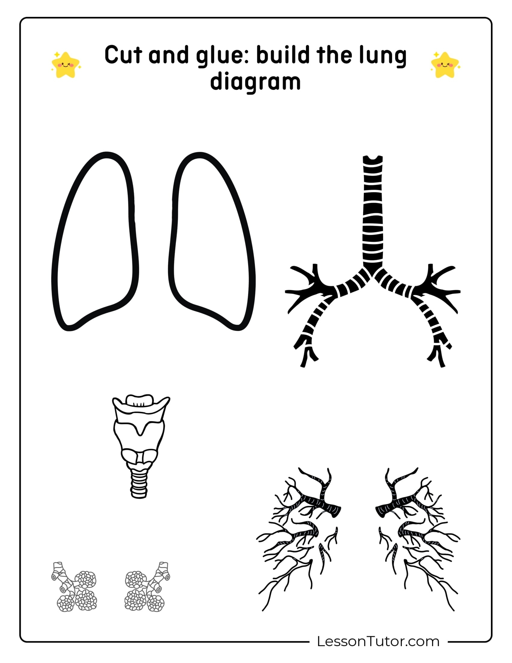 Respiratory System Worksheets Free Coloring Pages PDF Printables And Worksheets Lesson Tutor