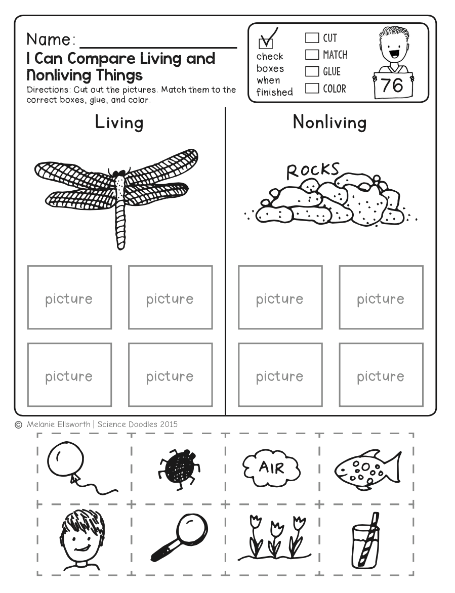 Science Worksheets For Kindergarten 56 Worksheets No Prep By Worksheets Library Science Worksheets For Kindergarten 56 Worksheets No Prep By Worksheets Library