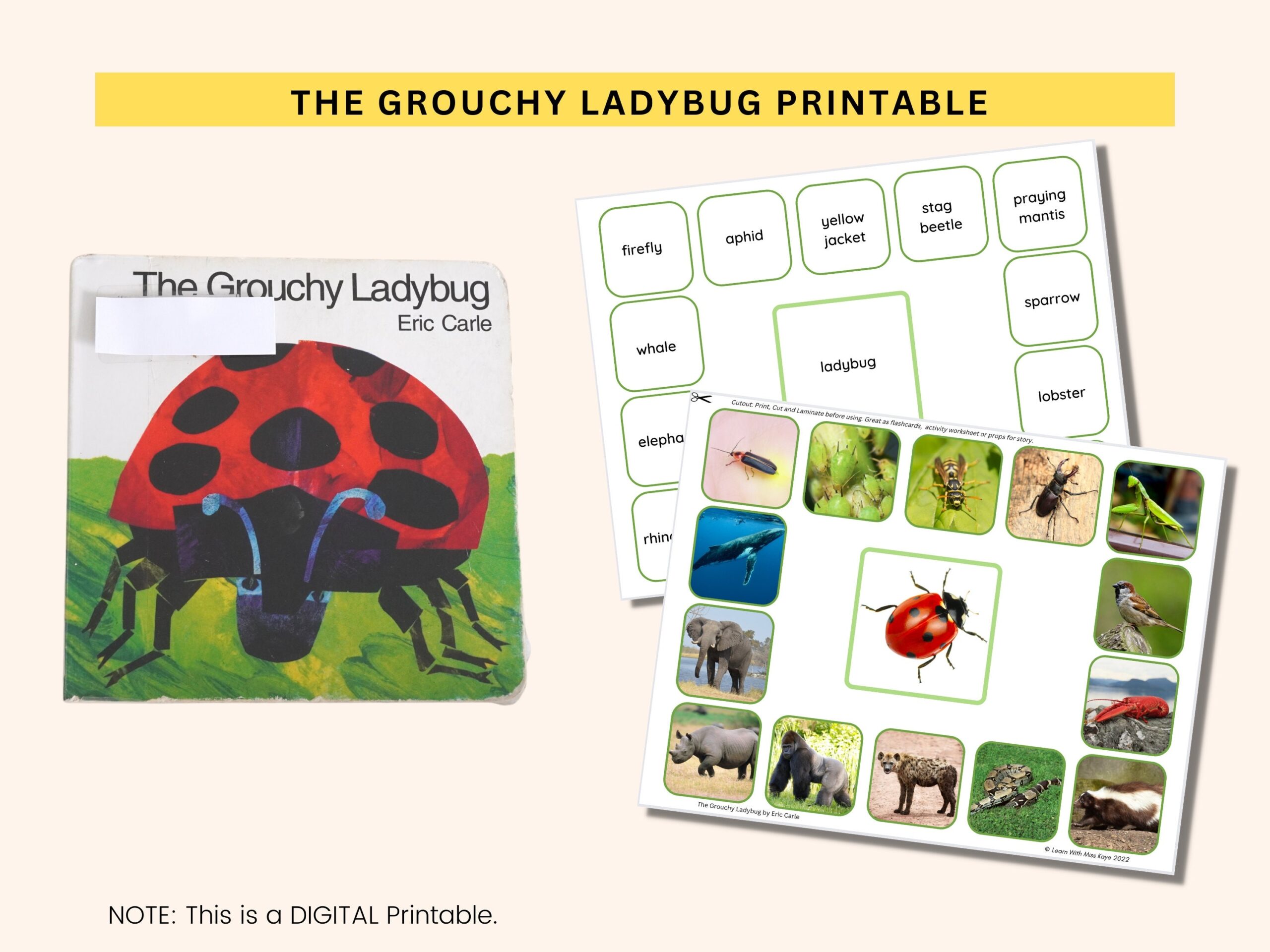 The Grouchy Ladybug Printables CrystalandComp