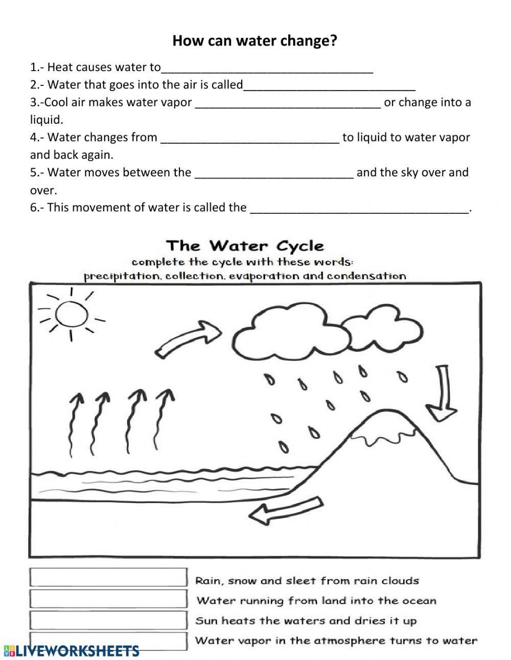 Water Cycle Interactive Activity Worksheets Library Water Cycle Interactive Activity Worksheets Library