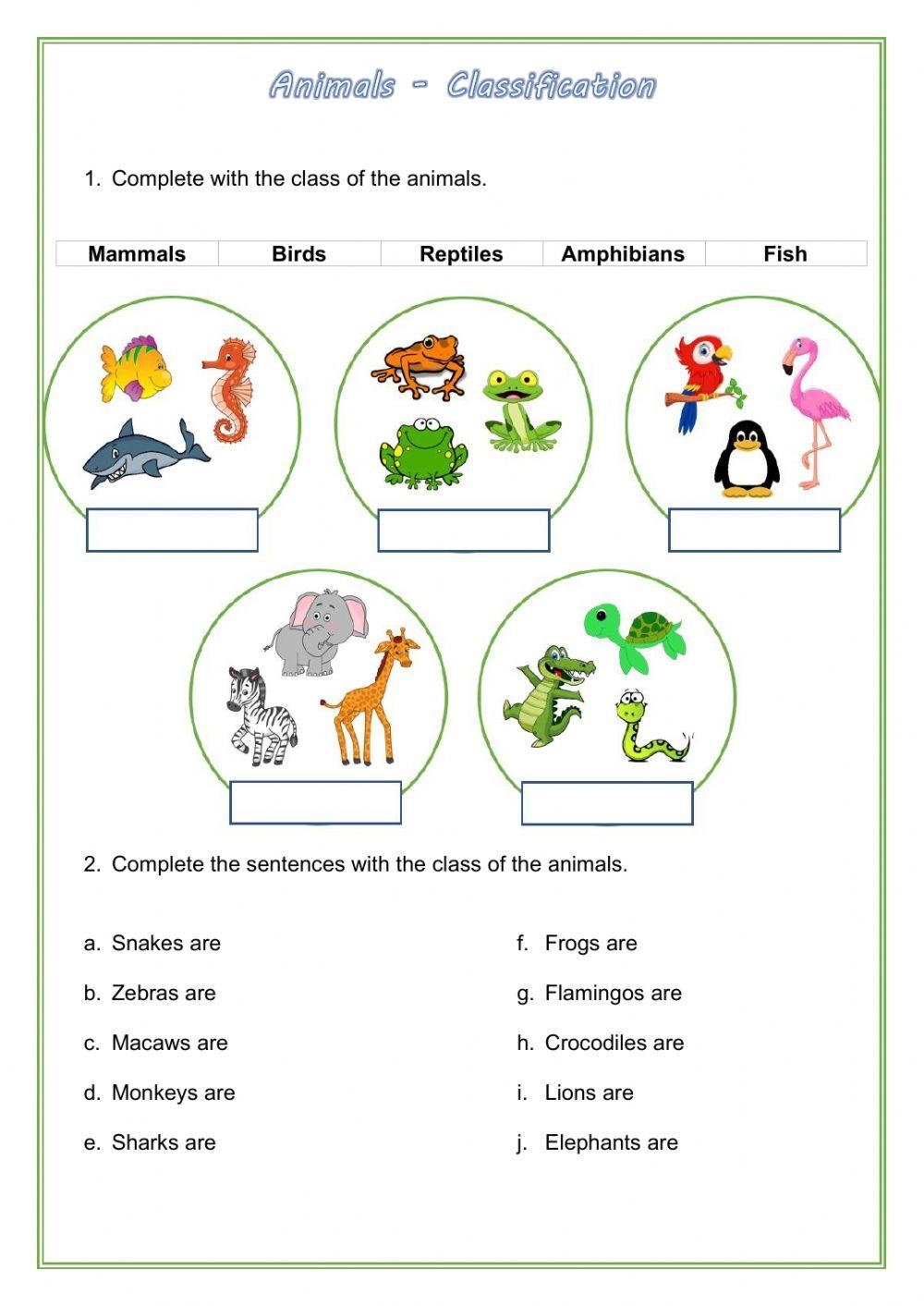 Wild Animals Classification Worksheet Worksheets Library