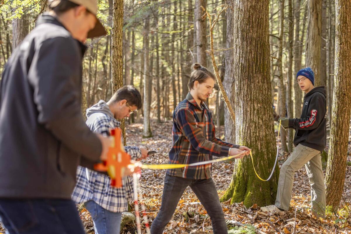 Wildlife Forest Conservation B S Vermont State University